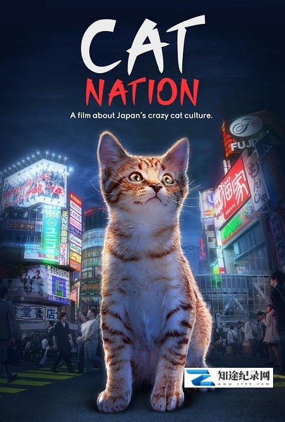 [其他]猫咪国度 Cat Nation: A Film About Japan's Crazy Cat Culture-知途纪录片网盘资源下载