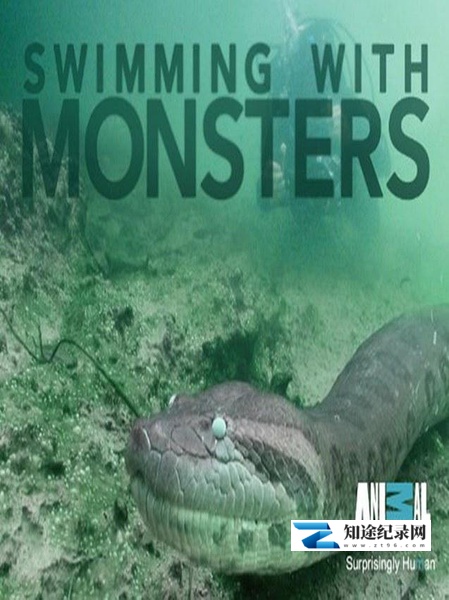 [Discovery]与怪物同游 Swimming with Monsters / 水霸王-知途纪录片网盘资源下载