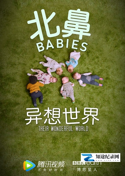 [其他]北鼻异想世界 The Wonderful World of Babies-知途纪录片网盘资源下载