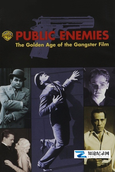 [其他]公众之敌：黑帮电影的黄金时代 Public Enemies: The Golden Age of the Gangster Film-知途纪录片网盘资源下载