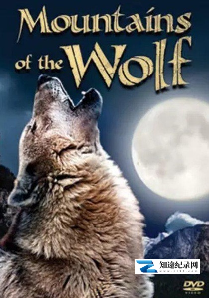 [其他]狼山传奇 The Mountains Of The Wolf-知途纪录片网盘资源下载