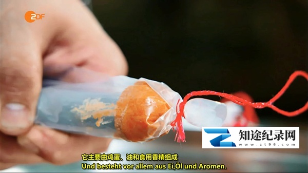 [ZDF]我们的香肠有多棒？ Wie gut sind unsere Wurstwaren?-知途纪录片网盘资源下载