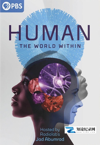 [Netflix]人类：体内的世界 Human: The World Within-知途纪录片网盘资源下载