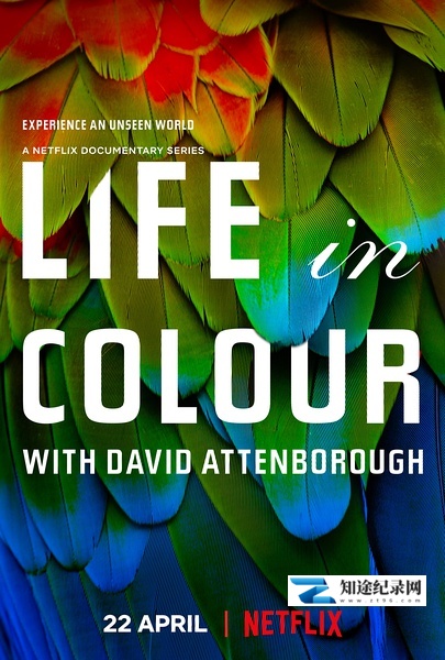 [BBC]生命之色 Life In Colour / 自然本色-知途纪录片网盘资源下载