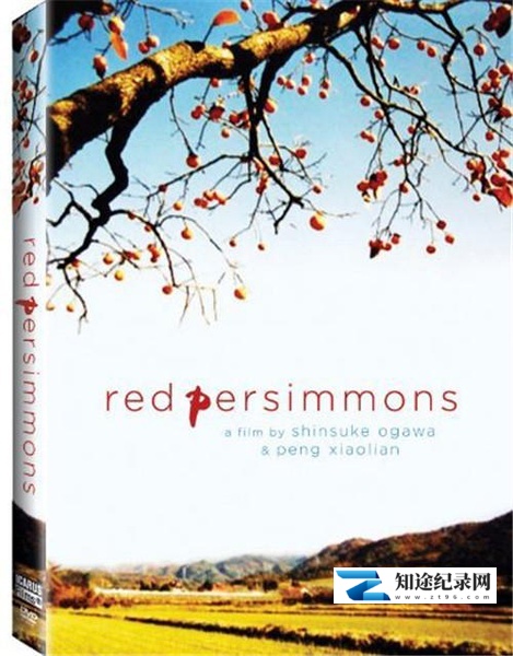 [其他]满山红柿 Red Persimmons-知途纪录片网盘资源下载