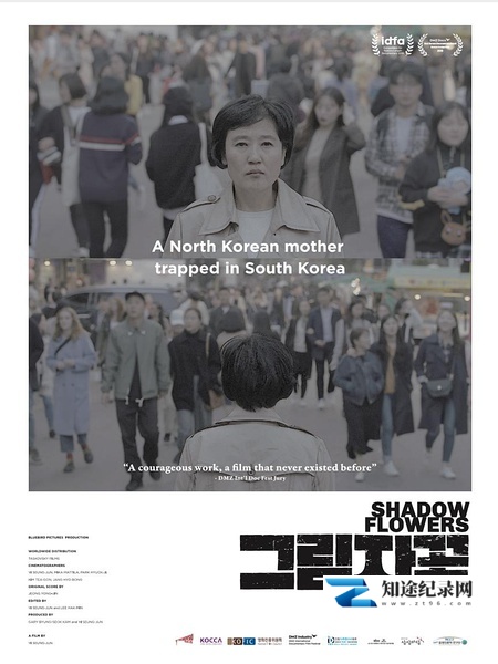 [其他]影之花 Shadow Flowers-知途纪录片网盘资源下载
