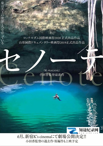 [其他]沉洞泉 セノーテ-知途纪录片网盘资源下载