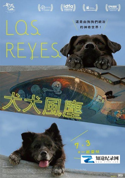 [其他]犬犬风尘 Los Reyes-知途纪录片网盘资源下载