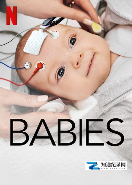 [Netflix]宝宝的第一年 第二季 Babies Season 2-知途纪录片网盘资源下载
