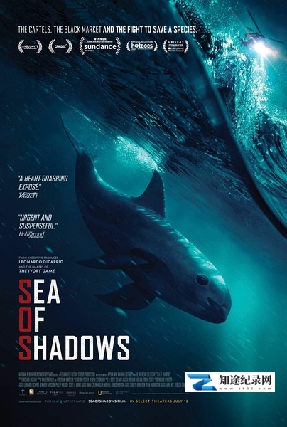 [其他]暗海 Sea of Shadows-知途纪录片网盘资源下载