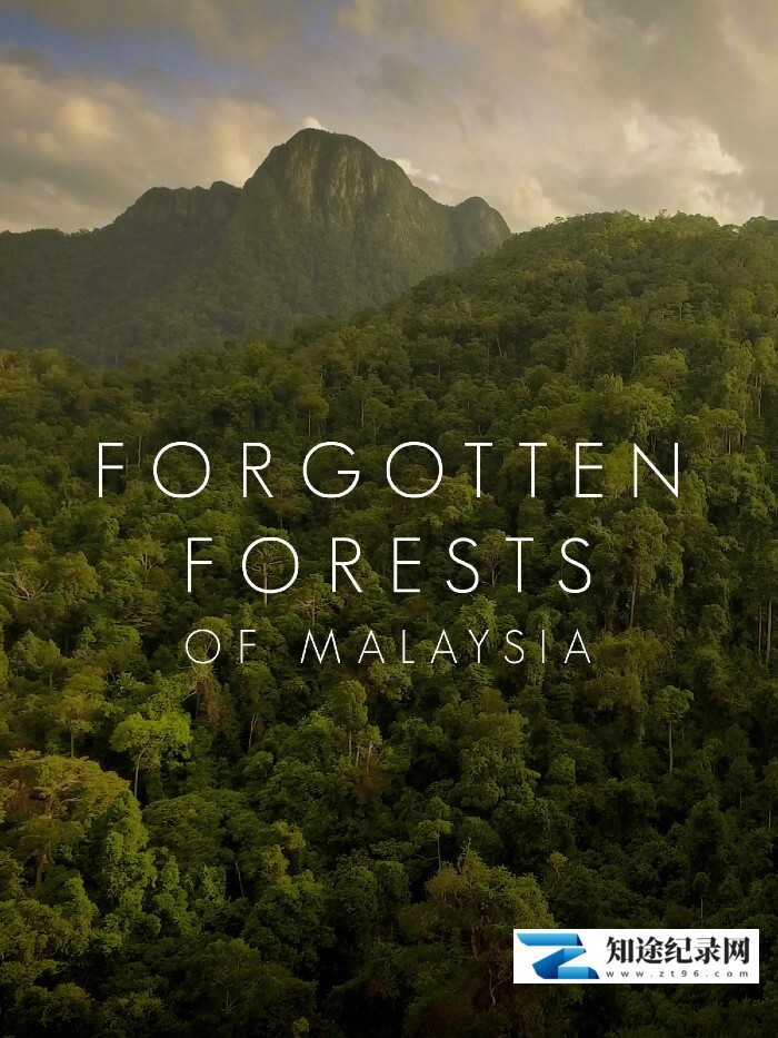 [其他]马来西亚被遗忘的雨林 Forgotten Forests of Malaysia-知途纪录片网盘资源下载