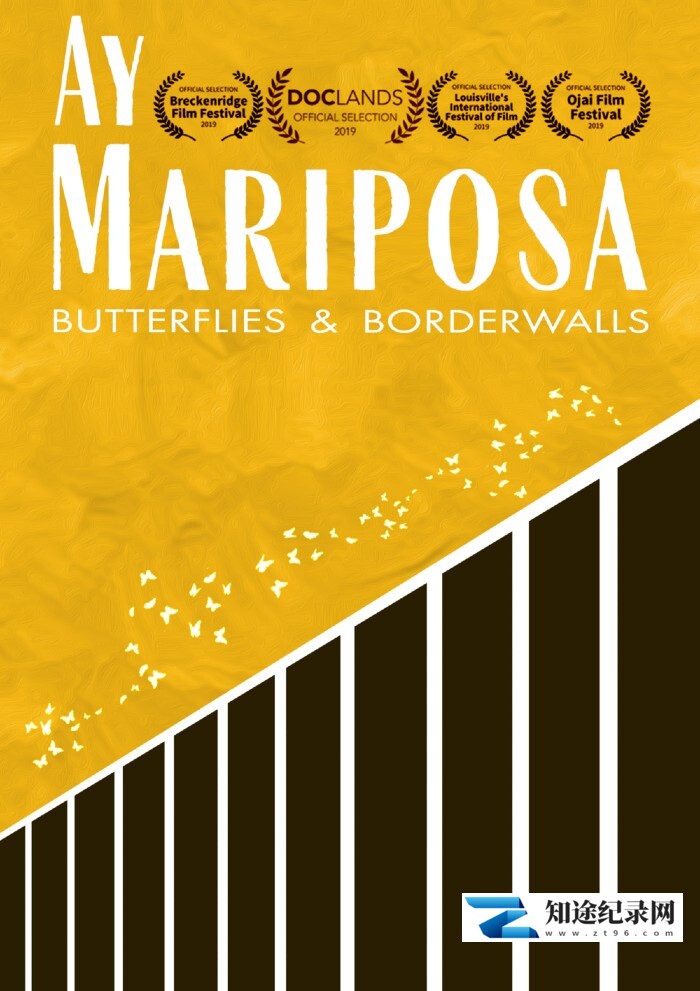 [其他]蝴蝶的隐秘世界 Mariposas-知途纪录片网盘资源下载