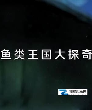 [CCTV]鱼类王国大探奇 鱼类王国大探奇-知途纪录片网盘资源下载