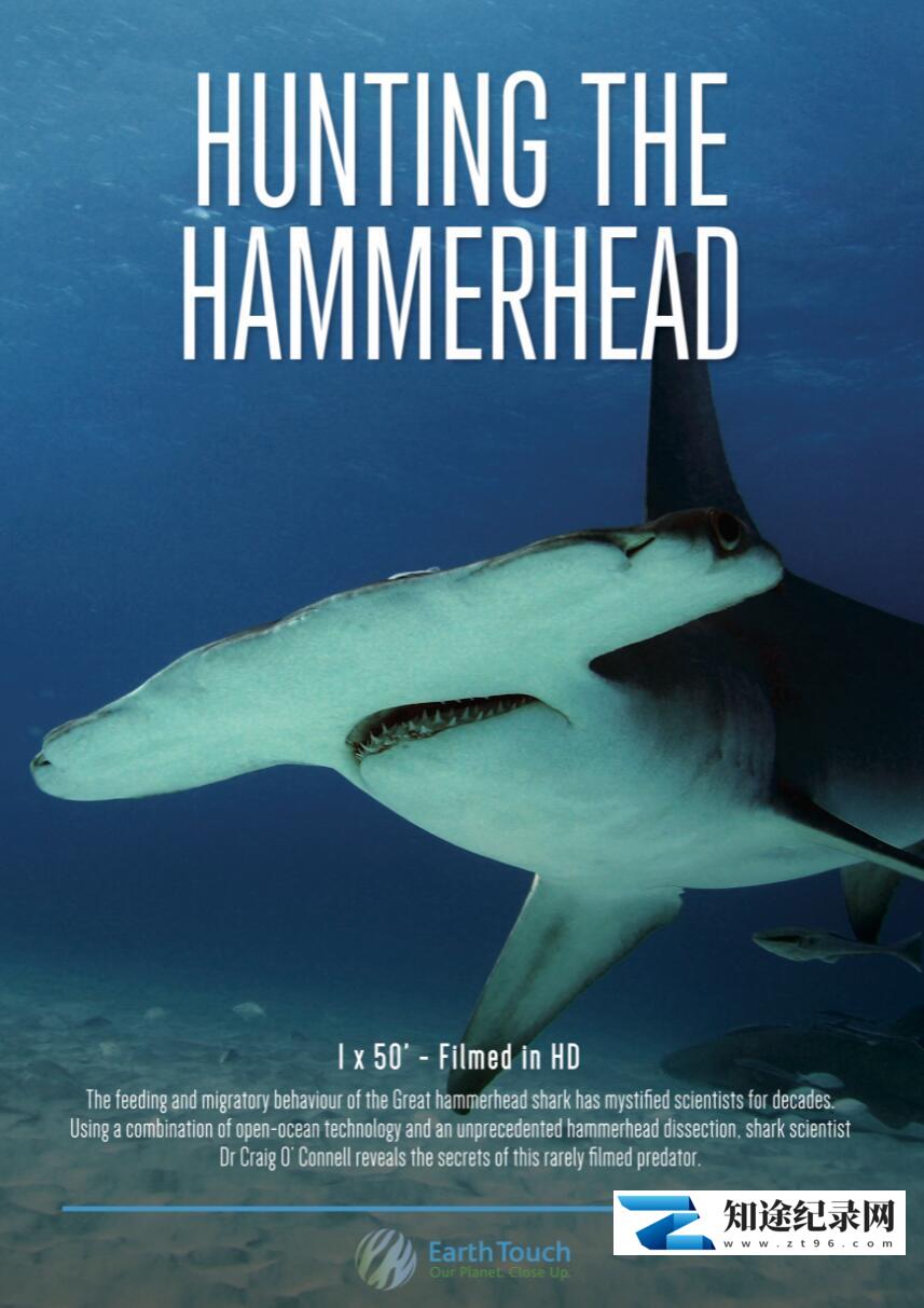 [Smithsonian]探秘无沟双髻鲨 Hunting the Hammerhead-知途纪录片网盘资源下载