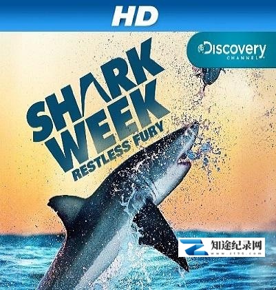 [其他]探秘鲨鱼海滩 Sharkbite Beach-知途纪录片网盘资源下载