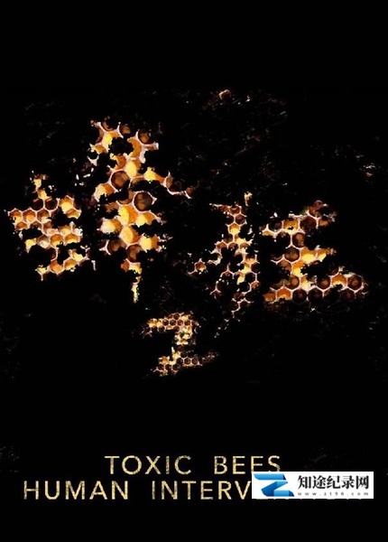 [PTS]蜂狂2 Toxic Bees: Human Interventio-知途纪录片网盘资源下载