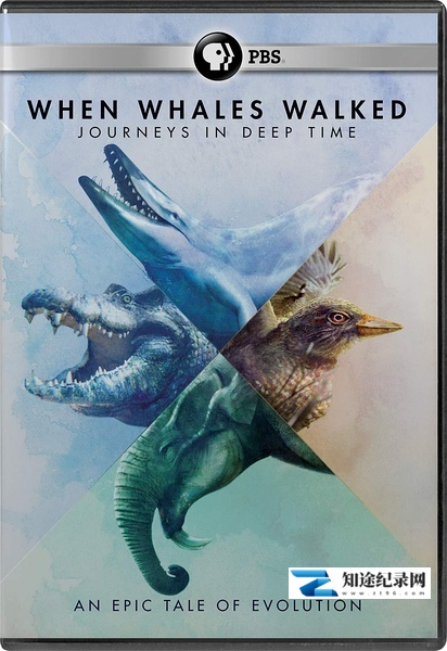 [PBS]鲸鱼行走的时代：深时之旅 When Whales Walked: Journeys in Deep Time-知途纪录片网盘资源下载