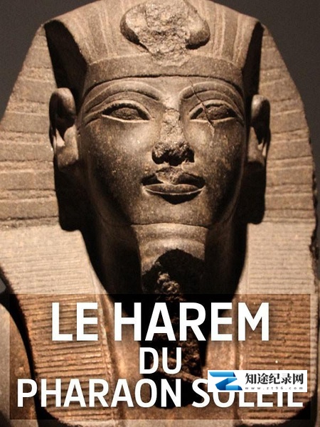 [BBC]探秘埃及太阳神王墓穴 Le harem du Pharaon-Soleil-知途纪录片网盘资源下载