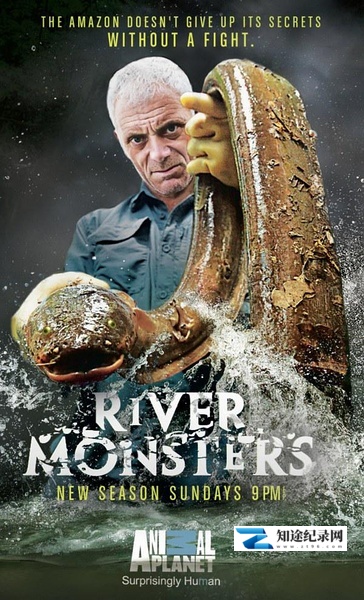 [Discovery]河中巨怪 第六季 River Monsters Season 6-知途纪录片网盘资源下载