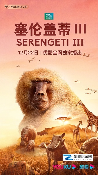 [BBC]塞伦盖蒂 第三季 Serengeti Season 3-知途纪录片网盘资源下载
