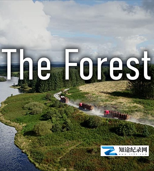 [BBC]森林 The Forest / 森林隐秘世界-知途纪录片网盘资源下载