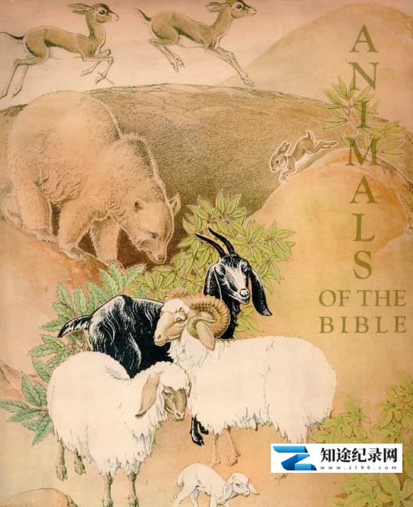 [其他]圣经中的动物 Animals Of The Bible-知途纪录片网盘资源下载