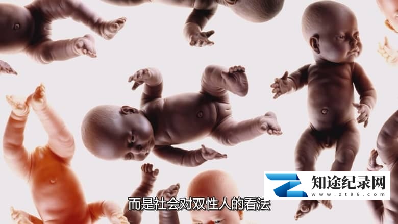 图片[5]-国家地理《性别解码 Gender Revolution 2017》多国语言多国字幕 无水印纯净版 720P/MKV/3.04G 性别认同-知途纪录片网盘资源下载