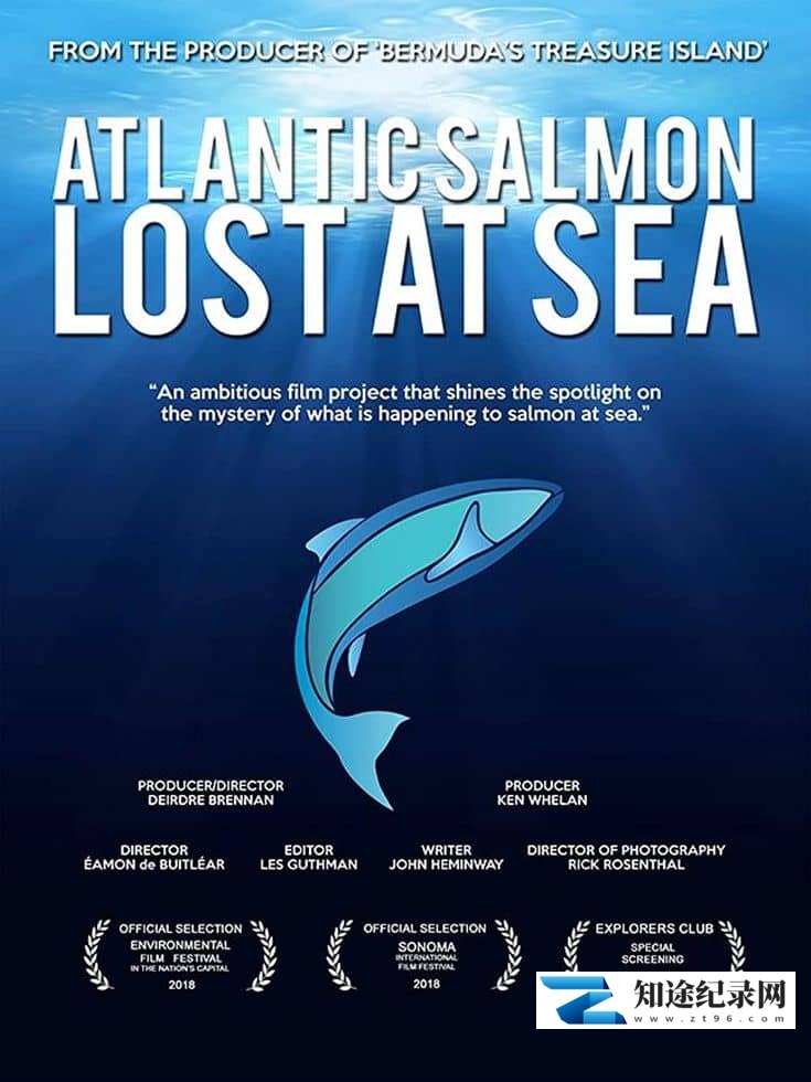 [其他]大西洋鲑鱼：迷失在海上 Atlantic Salmon: Lost at Sea-知途纪录片网盘资源下载