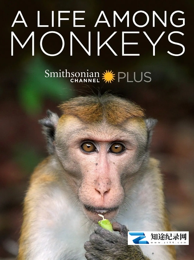 [Smithsonian]猴群中的生活 A Life Among Monkeys-知途纪录片网盘资源下载
