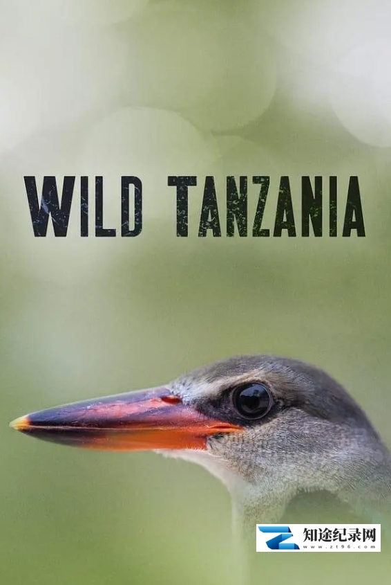 [PBS]狂野坦桑尼亚 第一季 Wild Tanzania Season 1-知途纪录片网盘资源下载