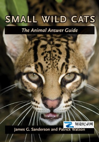 [其他]野生猫科动物 Wild Cats-知途纪录片网盘资源下载