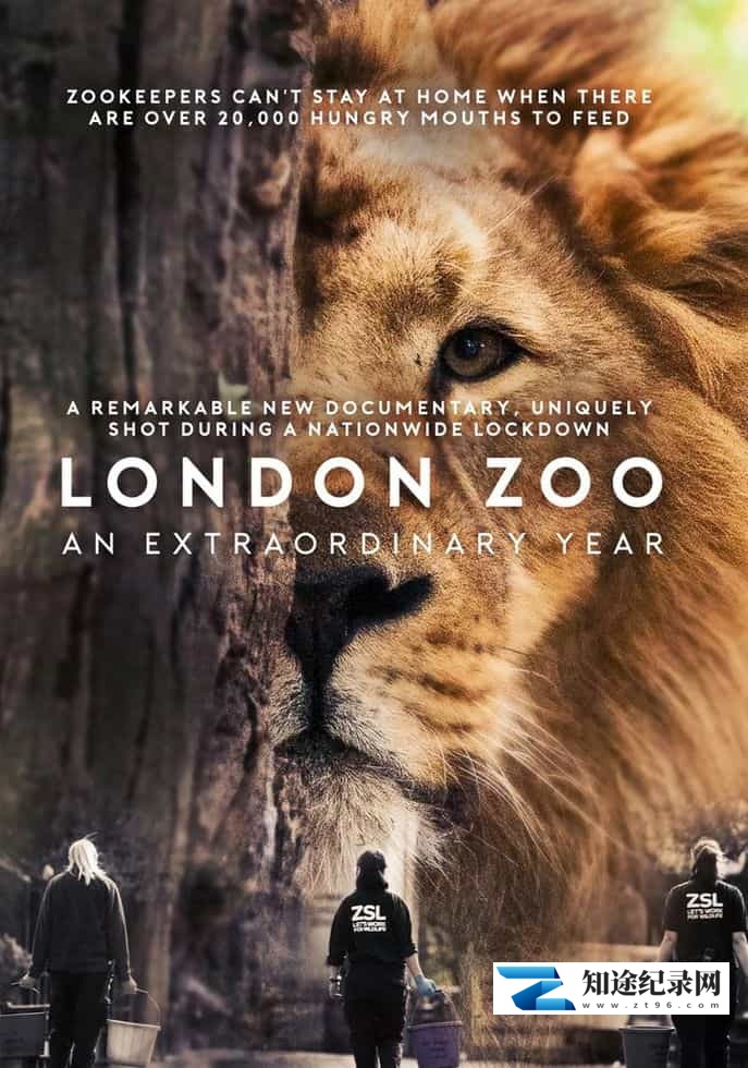 [ITV]伦敦动物园：非凡的一年 London Zoo: An Extraordinary Year-知途纪录片网盘资源下载