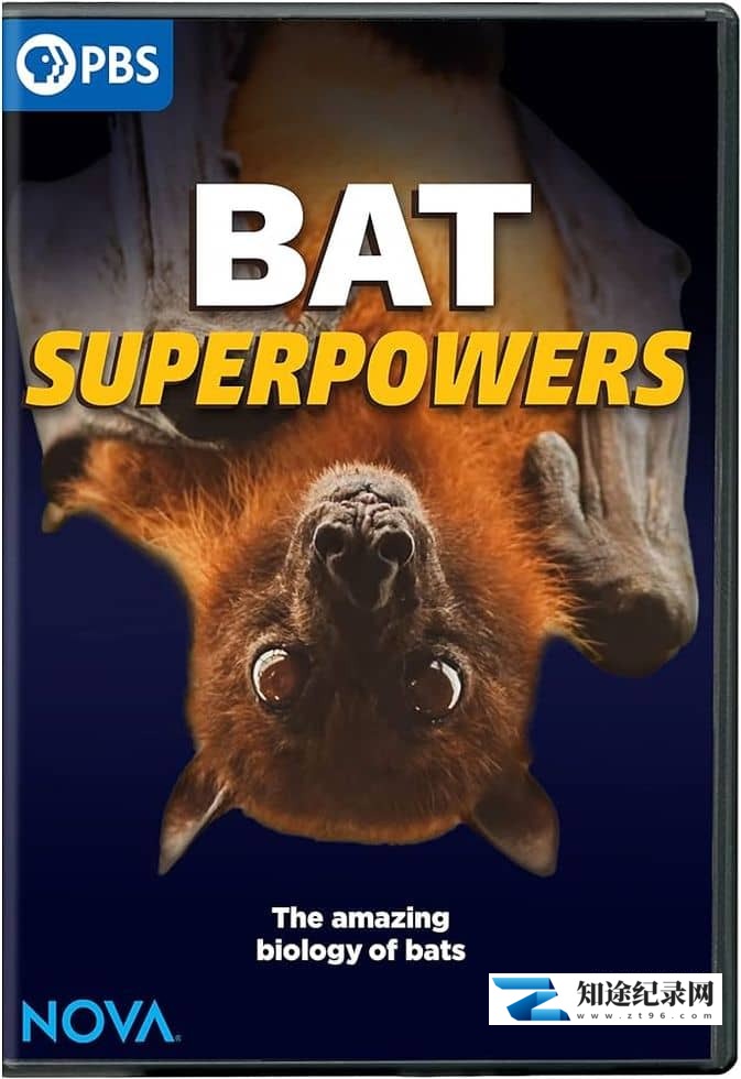[PBS]蝙蝠超能力 Bat Superpowers-知途纪录片网盘资源下载