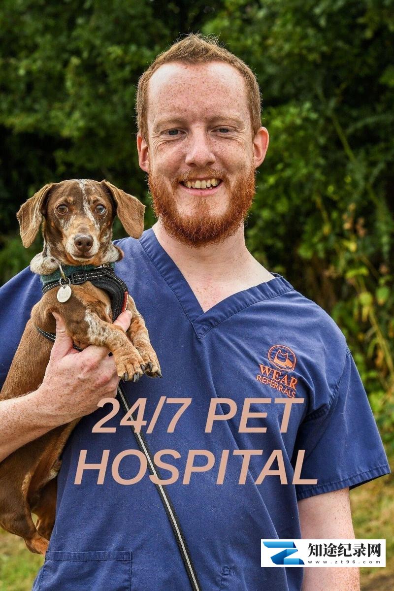 [BBC]24小时宠物医院 24/7 Pet Hospital 2023-知途纪录片网盘资源下载