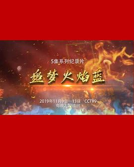 [CCTV]追梦火焰蓝-知途纪录片网盘资源下载