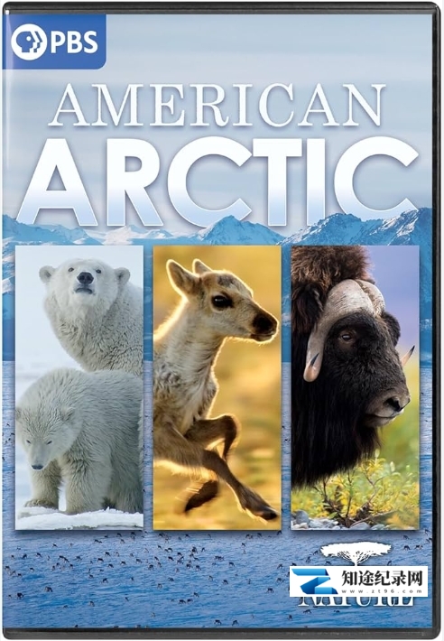 [PBS]美国北极 American Arctic-知途纪录片网盘资源下载