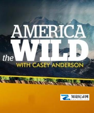 [国家地理]荒野远征：美国吸血蝙蝠 America The Wild: American Vampire-知途纪录片网盘资源下载