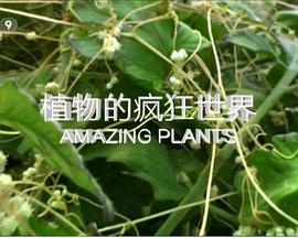 [Smithsonian]植物的疯狂世界 Amazing Plants-知途纪录片网盘资源下载