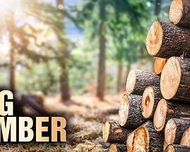 [Netflix]终极伐木达人 第一季 Big Timber Season 1-知途纪录片网盘资源下载