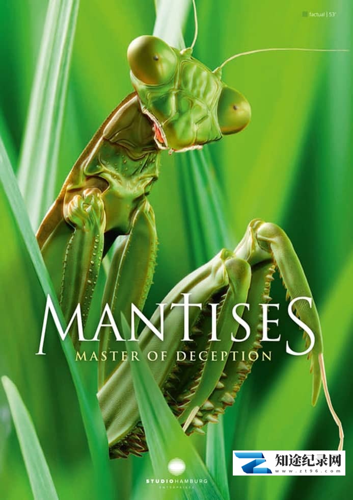 德国纪录片《螳螂：欺骗大师 Mantises:Masters of Deception 2019》英语中英双字 无水印纯净版 1080P/MKV/1.79G 螳螂纪录片-知途纪录片网盘资源下载