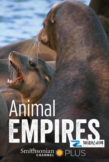 [Smithsonian]动物帝国 Animal Empires-知途纪录片网盘资源下载