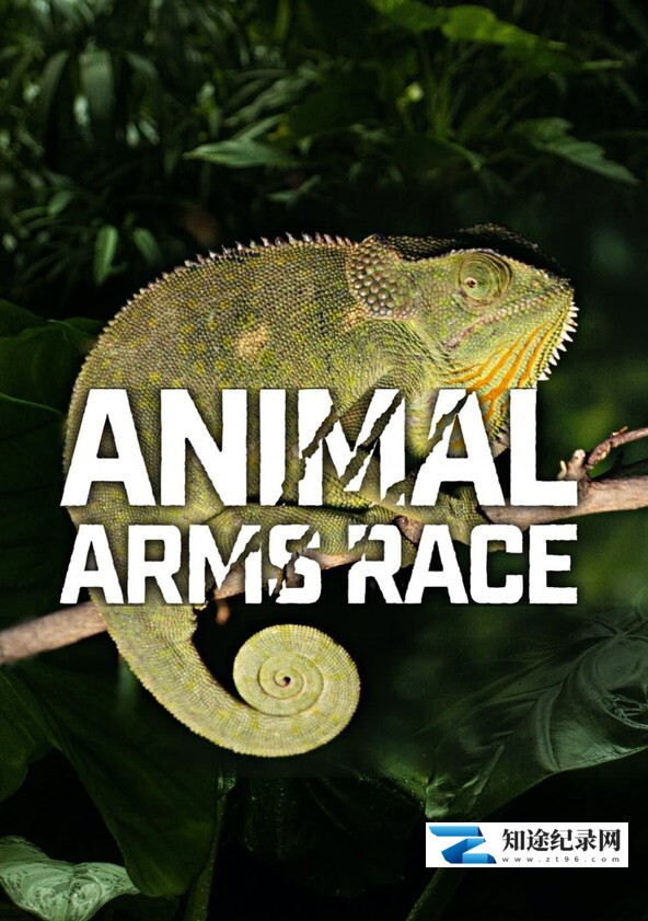 [其他]动物军备竞赛 Animal Arms Race-知途纪录片网盘资源下载