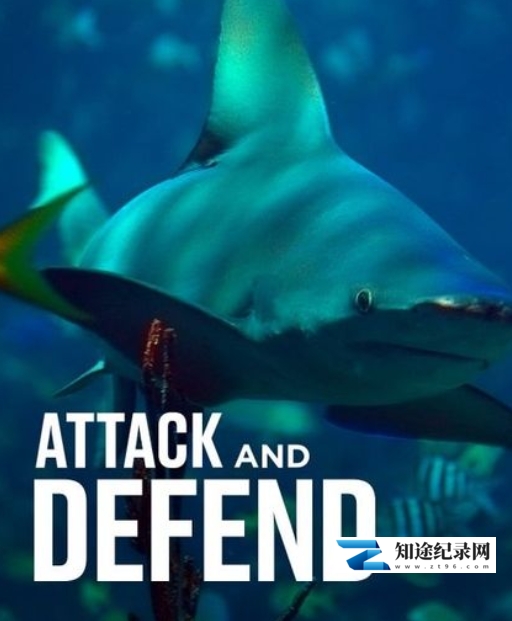 [Smithsonian]袭击和抵御 Attack and Defend-知途纪录片网盘资源下载