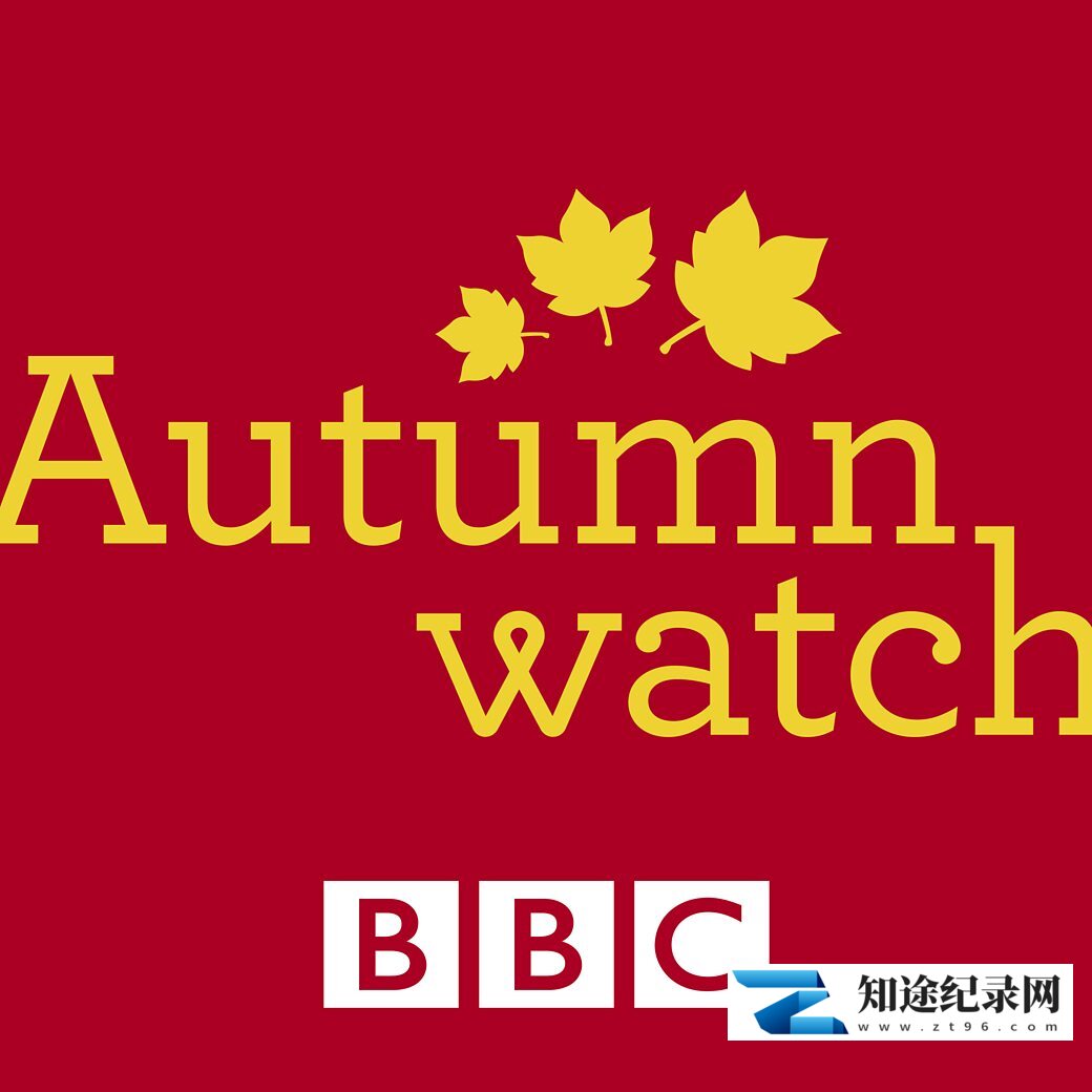 [BBC]赏秋 Autumnwatch-知途纪录片网盘资源下载