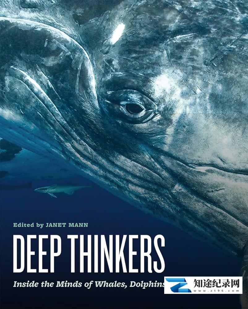 [BBC]聪明的海豚 Dolphins-Deep Thinkers-知途纪录片网盘资源下载