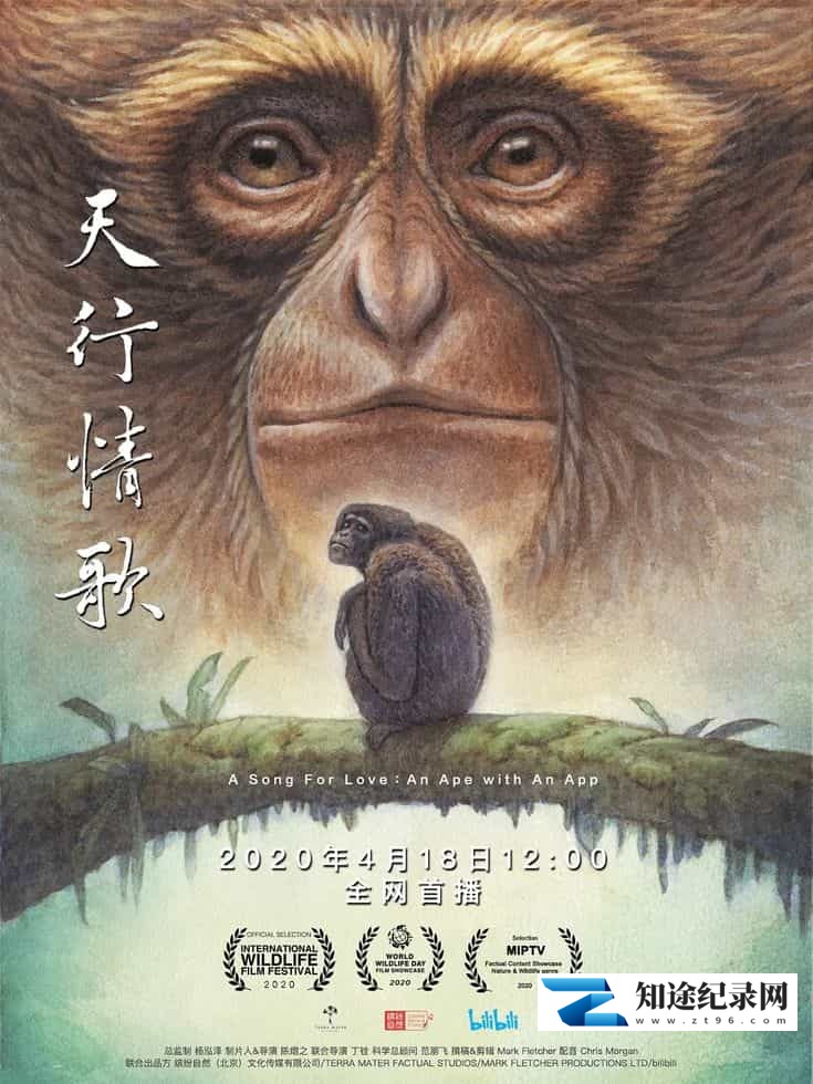 国产纪录片《天行情歌 A Song for Love 2020》国语中字 1080P/MP4/1.27G 中国自然生态-知途纪录片网盘资源下载