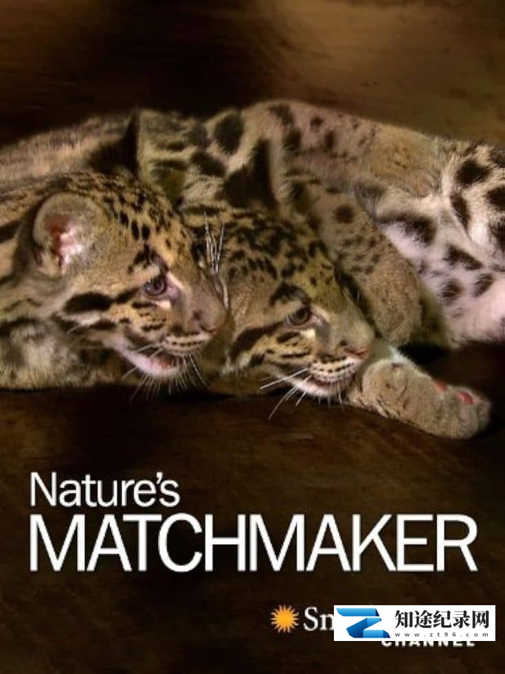 史密森尼频道《自然界的媒人 Nature\’s Matchmaker 2011》英语中英双字 1080P/MP4/1.28G 人工繁殖-知途纪录片网盘资源下载