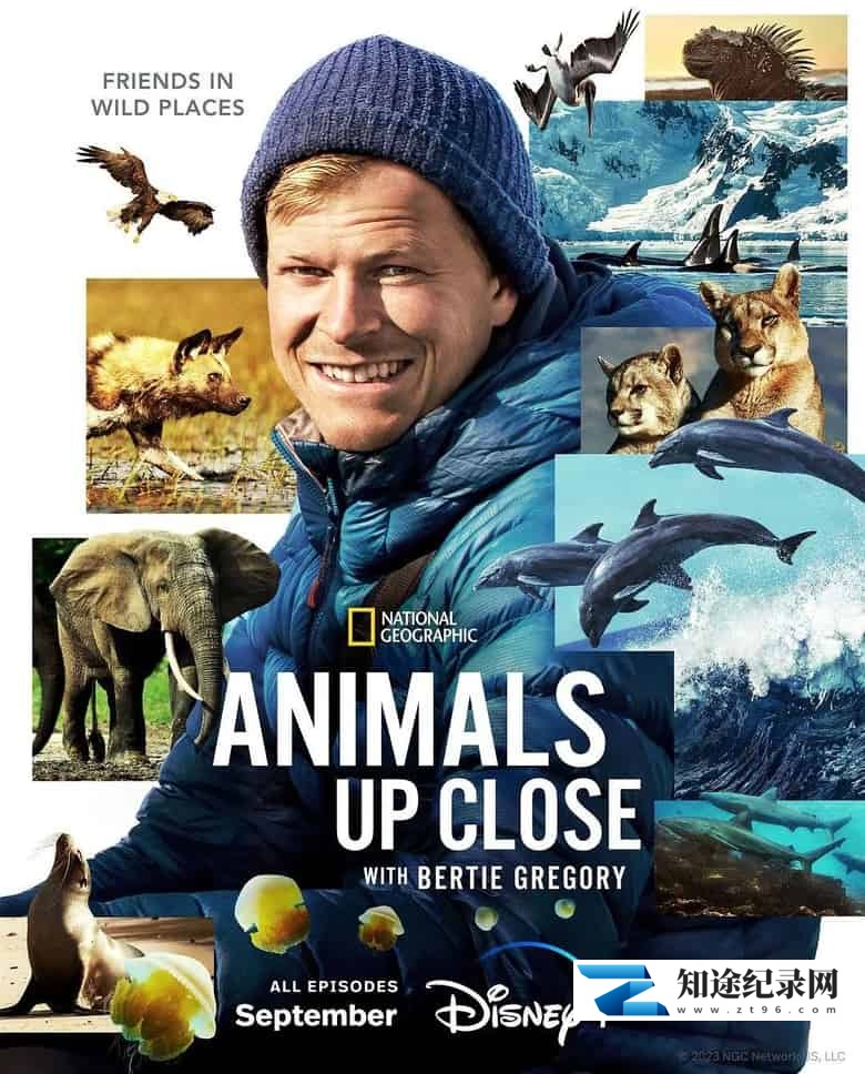 国家地理《贝尔蒂·格雷戈里：与动物零距离  Animals Up Close with Bertie Gregory 2023》第一季全6集 英语中英双字 4K超清/2160P/MKV/33.8G 动物零距离-知途纪录片网盘资源下载