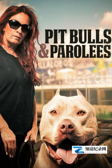 [Discovery]狗儿救援迎新生 第11季 Pit Bulls and Parolees-知途纪录片网盘资源下载