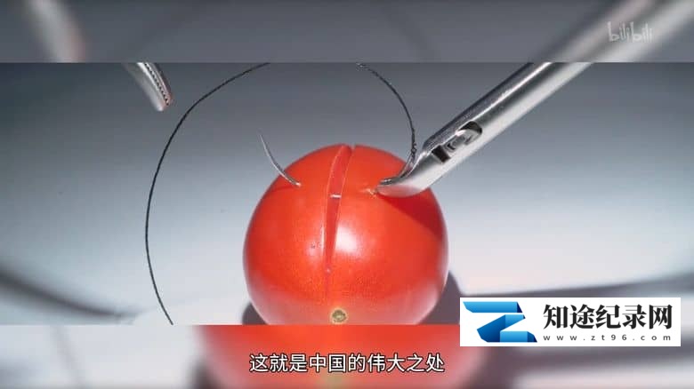 《未来中国 Futuristic China 2018》全7集 